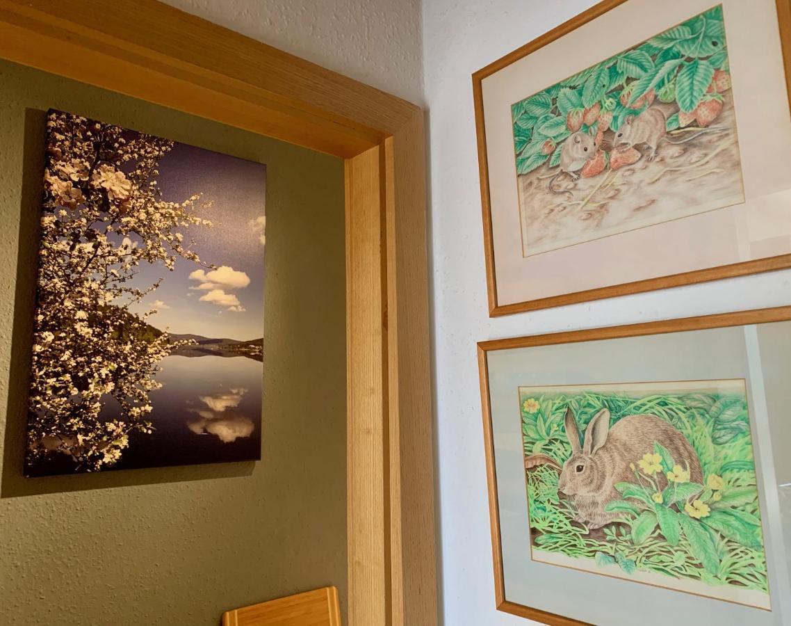 Studio Hase Saig エクステリア 写真
